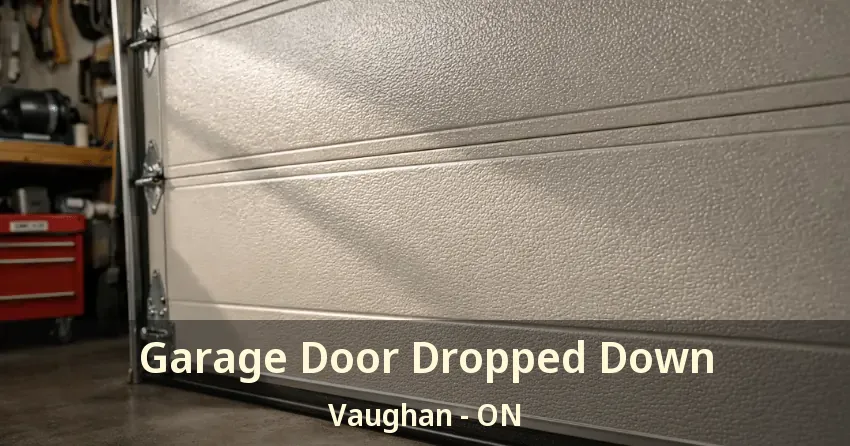 Garage Door Dropped Down Vaughan - ON